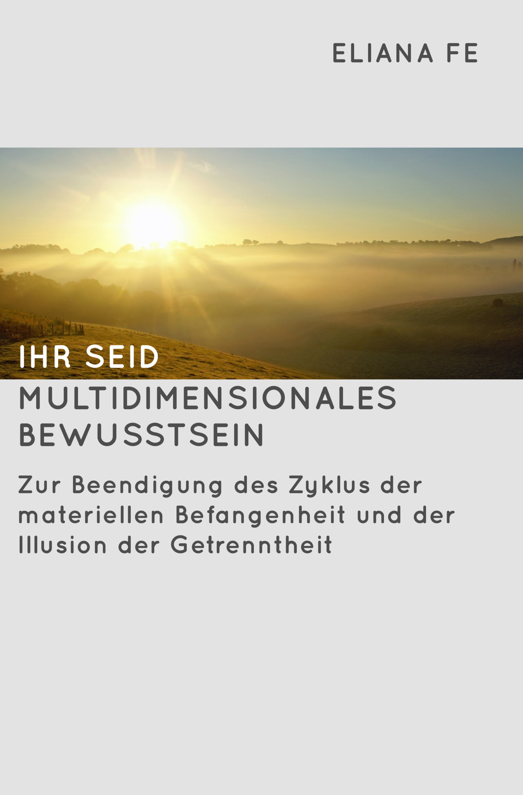 Cover of the Book 'Ihr seid multidimensionales Bewusstsein' by Eliana Fe
